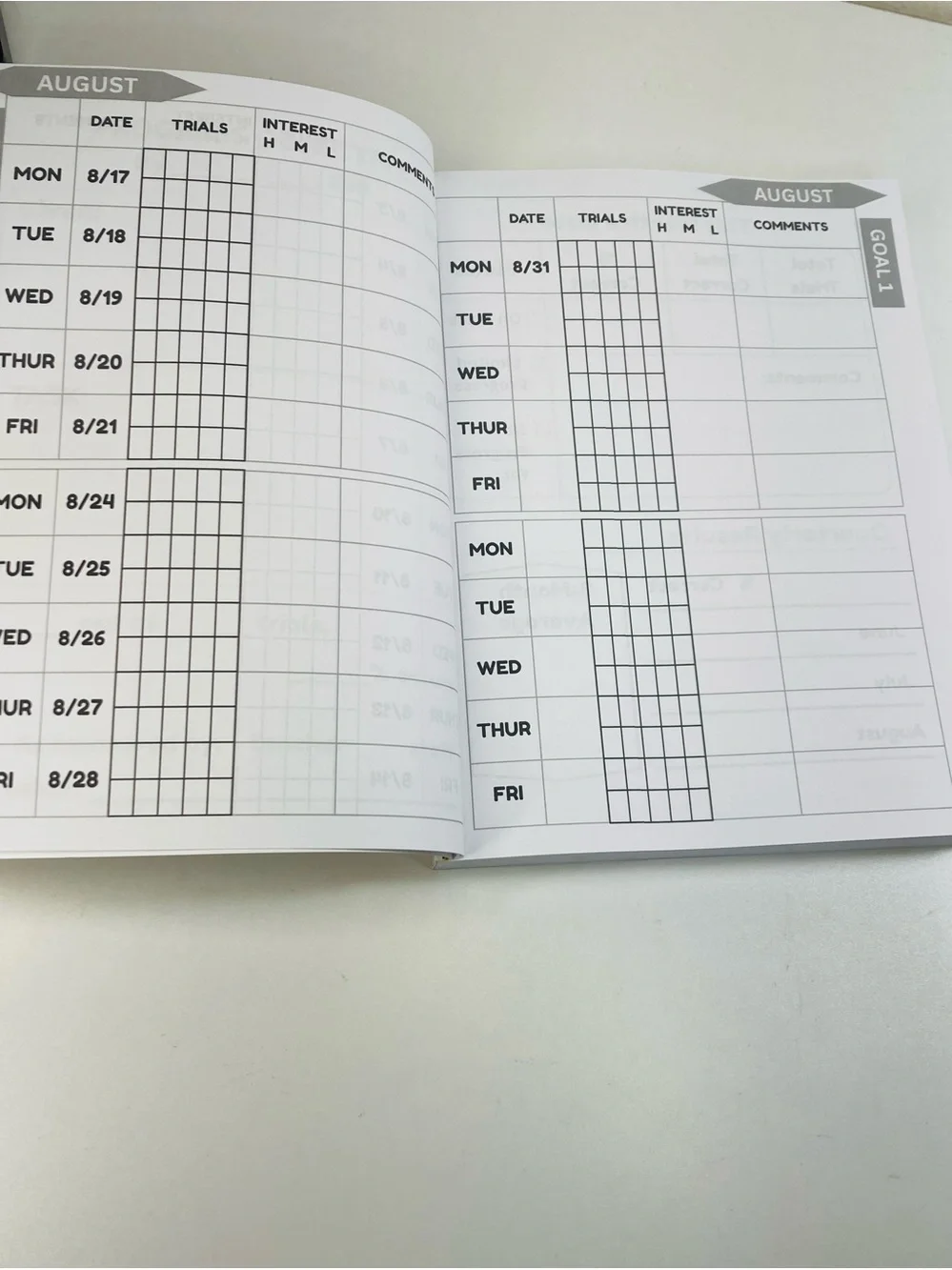NEW IEP Data Collection Book Up to 5 Goals August 1, 2026 - July 31, 2027 DATED